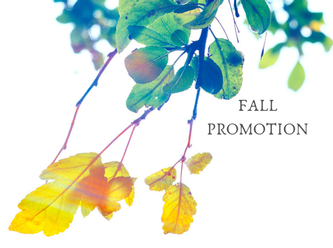 Fall Promotion 2018